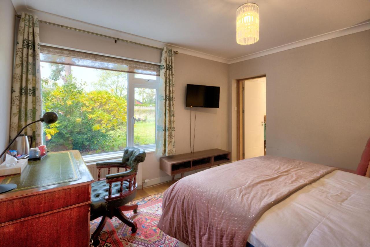 King Room - Room 1,1033525310:JPEG