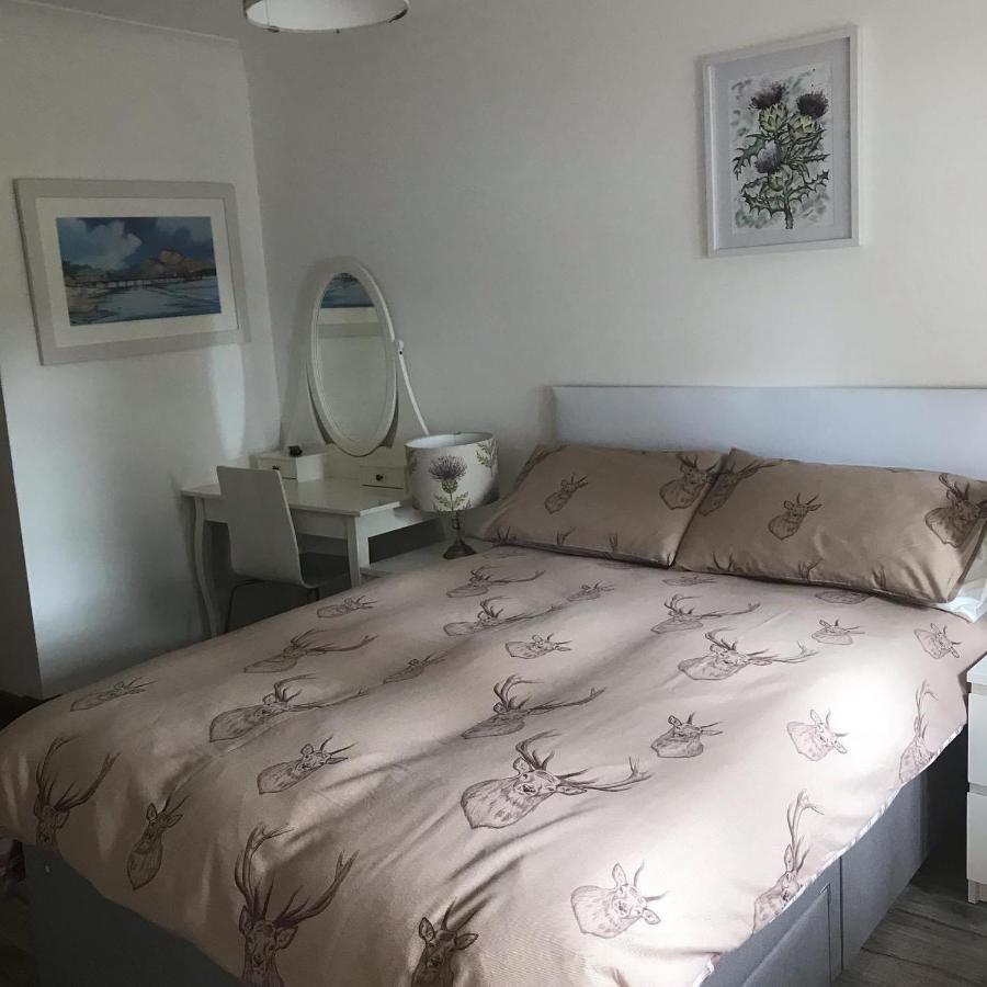 Standard Double Room,695580579:JPEG