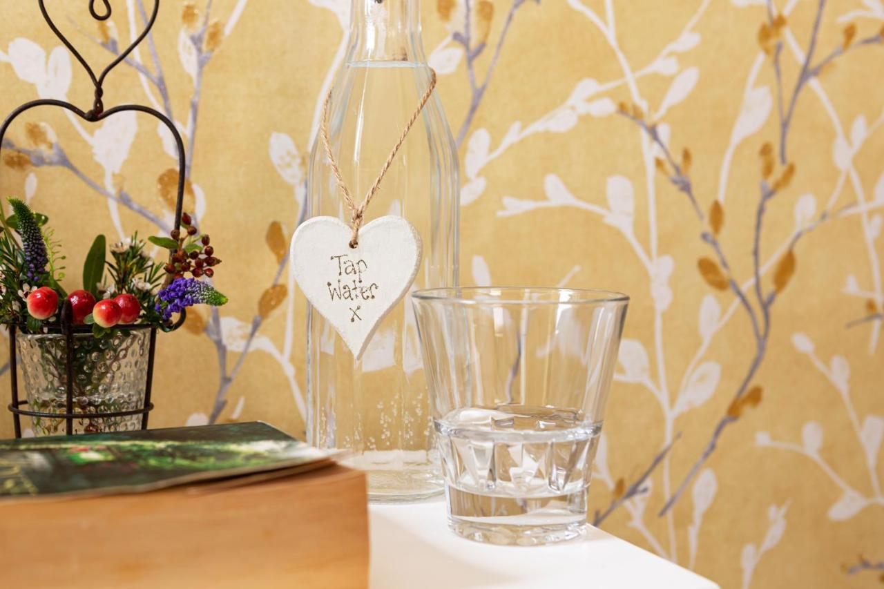 Single Room with Bath,1116016170:JPEG