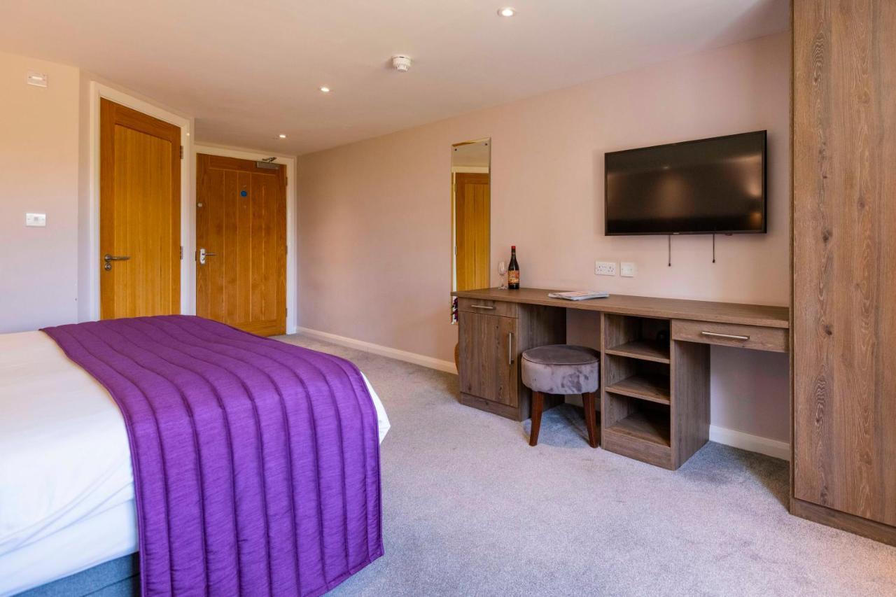 Superior Family Room,1123232649:JPEG