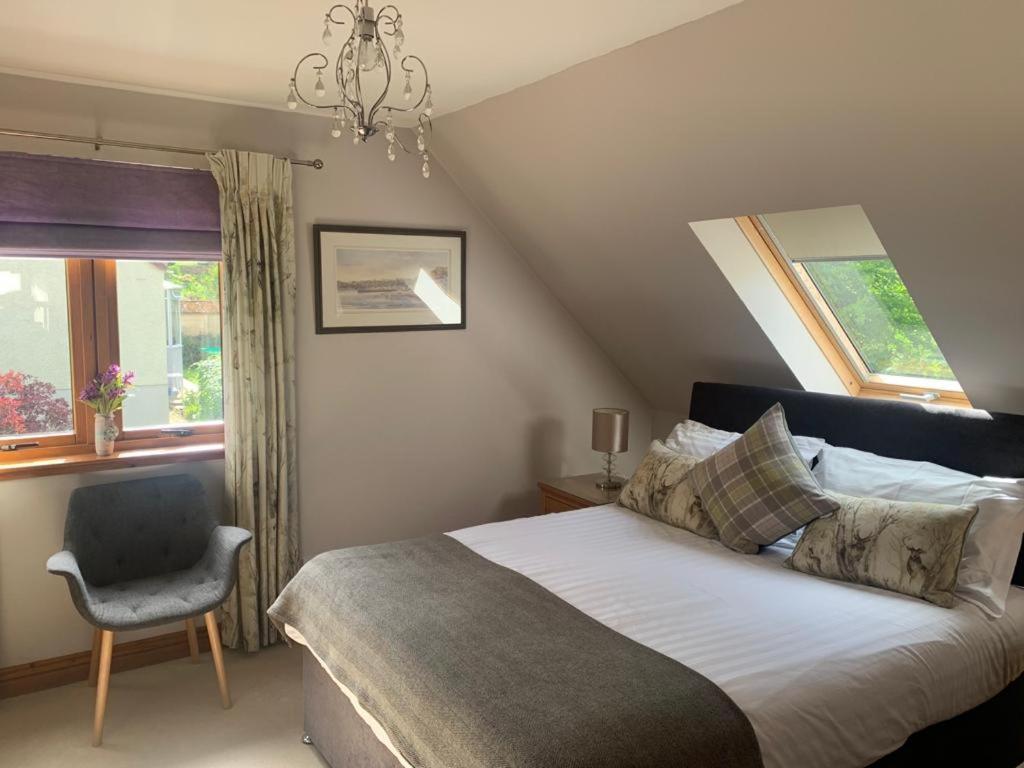 Large Double Room,771400525:JPEG