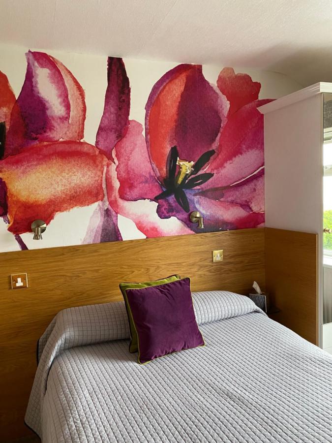 Single Room,1139023960:JPEG