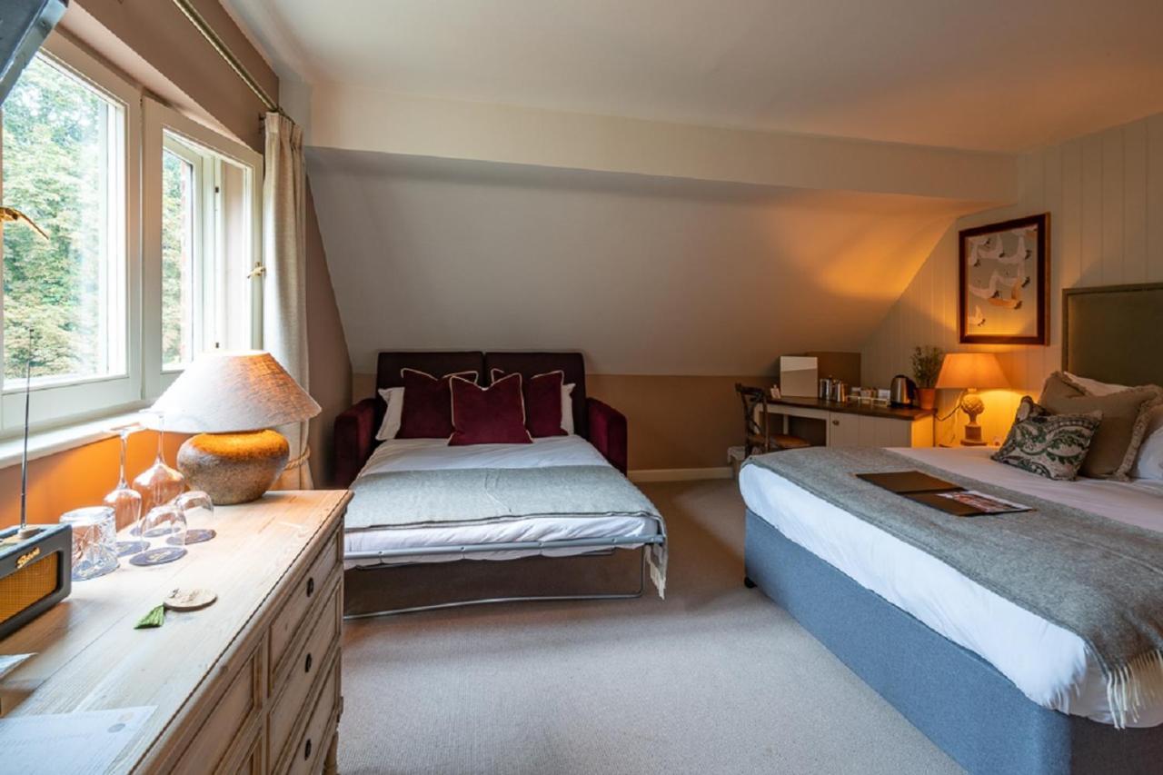 Executive Family Room (2 Adults 2 Children),1148913025:JPEG