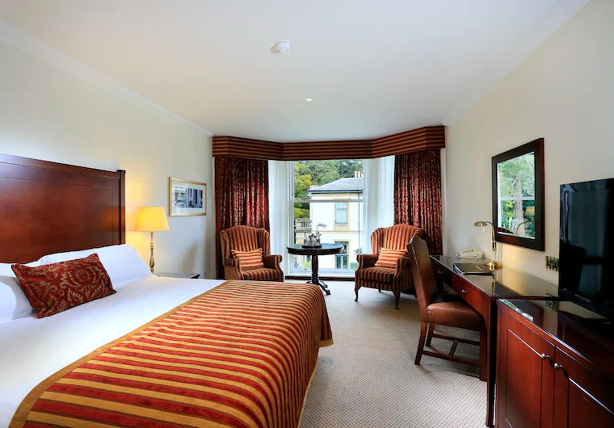 Superior King Room,568471413:JPEG