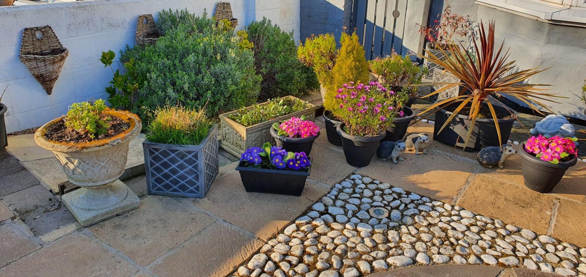 Triple Room with Shower,1216985635:JPEG