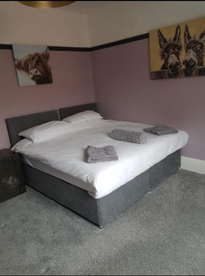 Budget Double Room,1234325384:JPEG