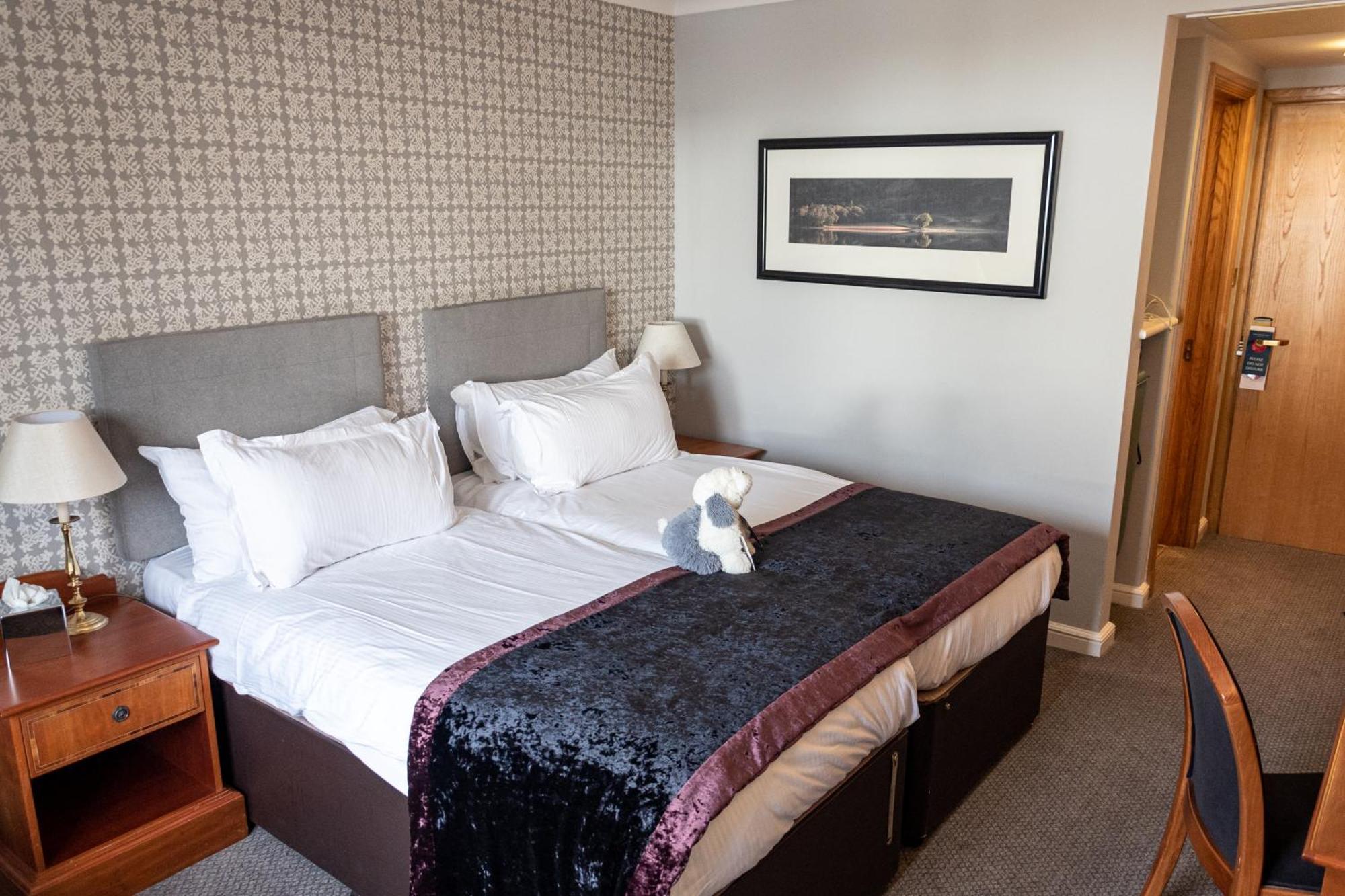 Willow Double or Twin Room,1553969719:JPEG