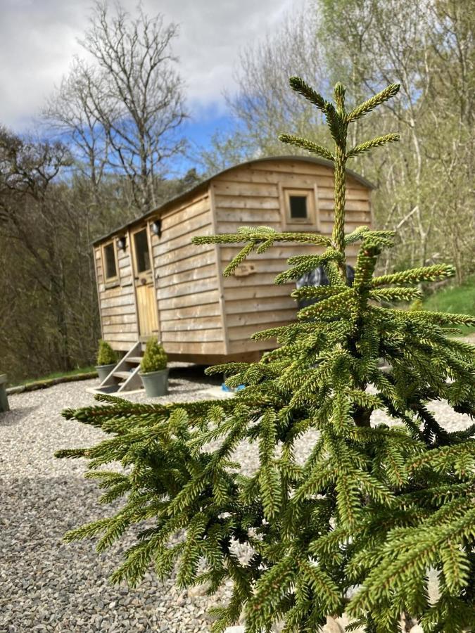 One-Bedroom Chalet,998449872:JPEG