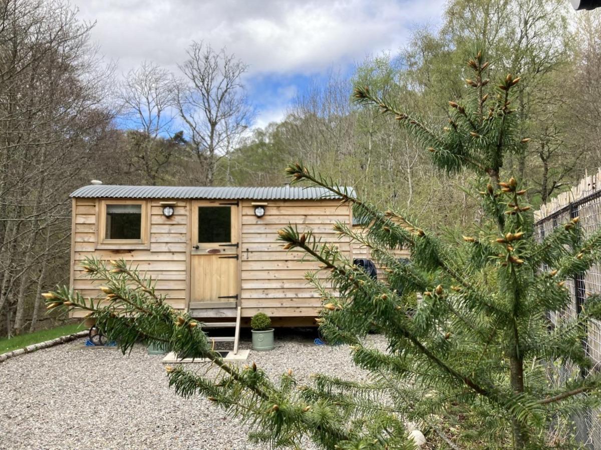 One-Bedroom Chalet,998450400:JPEG