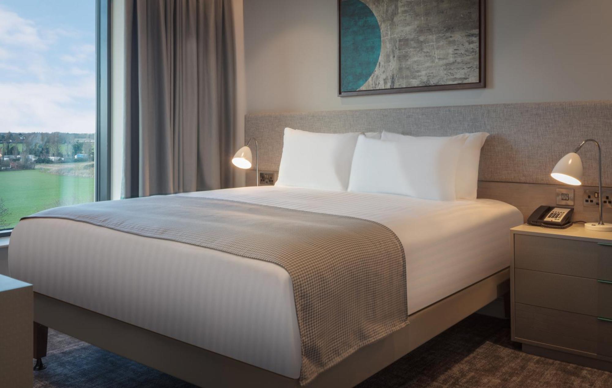 One-Bedroom King Suite