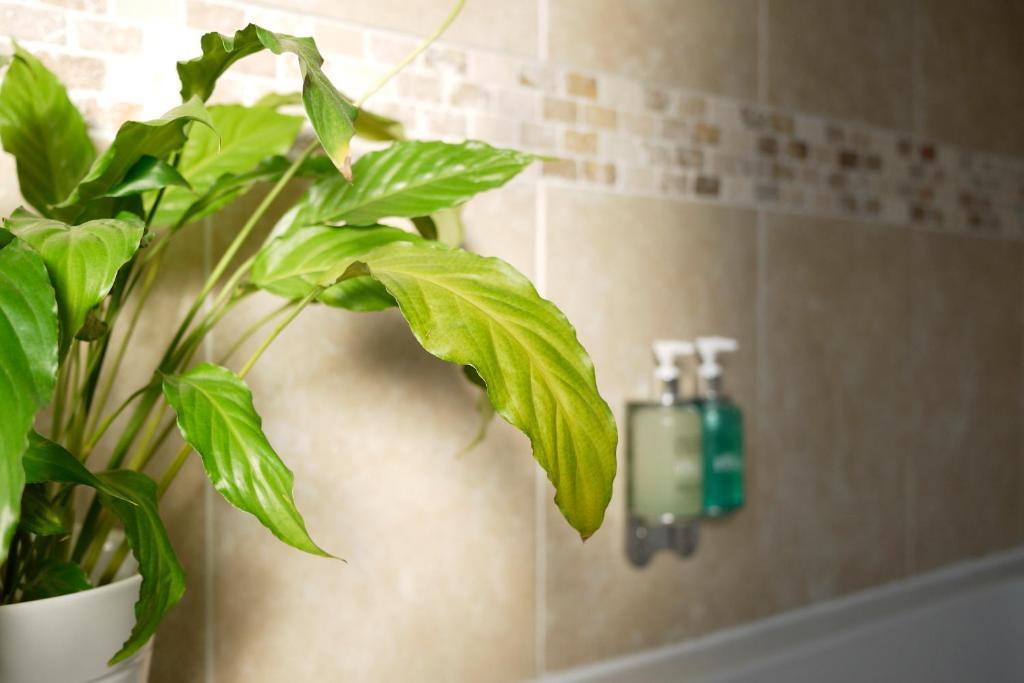 Double Room with Four Poster Bed,193440154:JPEG