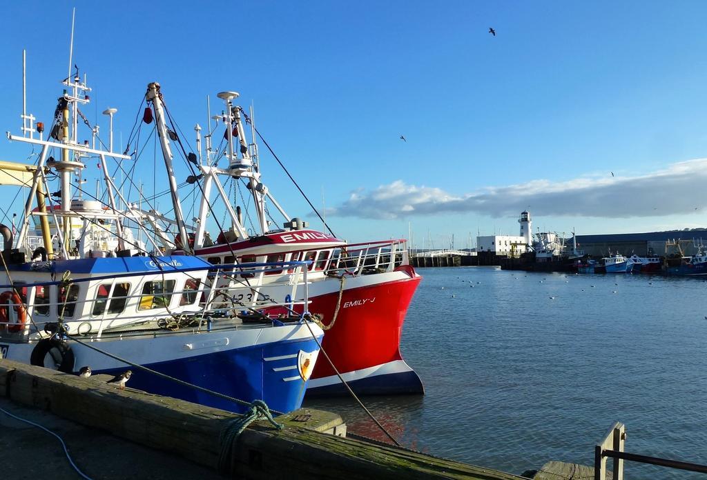 Deluxe Room,215411612:JPEG