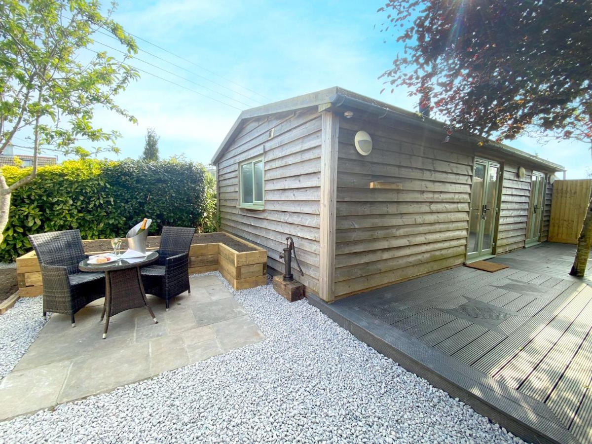 Studio with Garden View