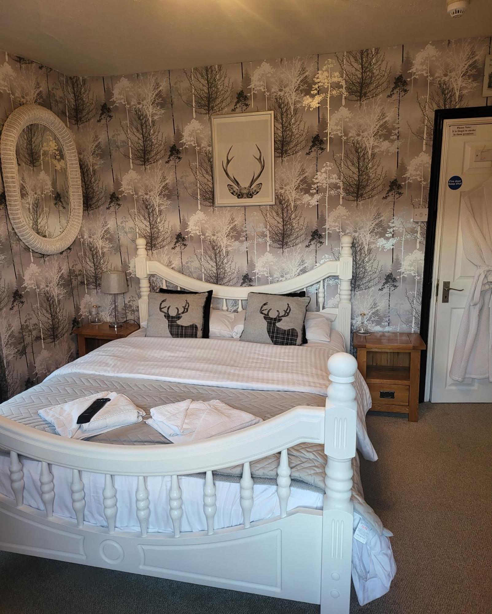 King Standard Room with Mountain View (Shared Bathroom),1521501028:JPEG