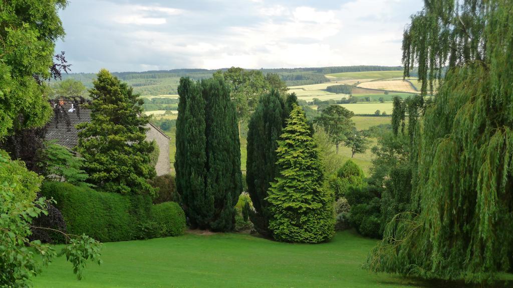 Double or Twin Room with Garden View,243553869:JPEG