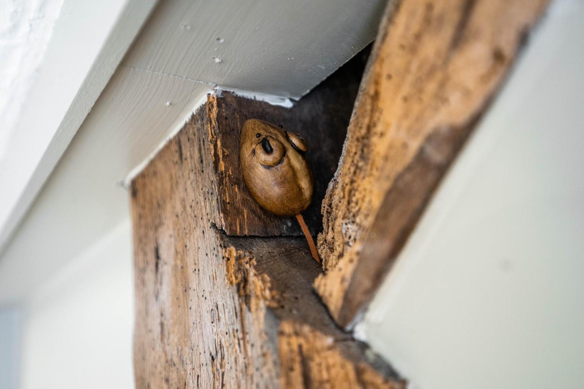 Premuim Double room with view,1546717840:JPEG