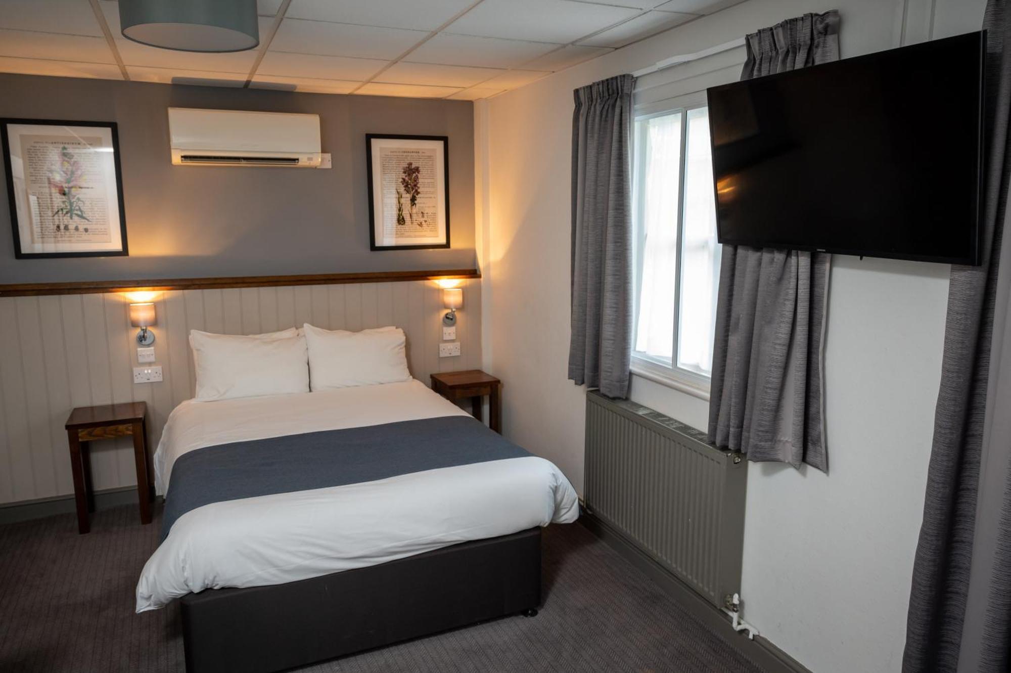 Family Room with Bathroom,1651731286:JPEG