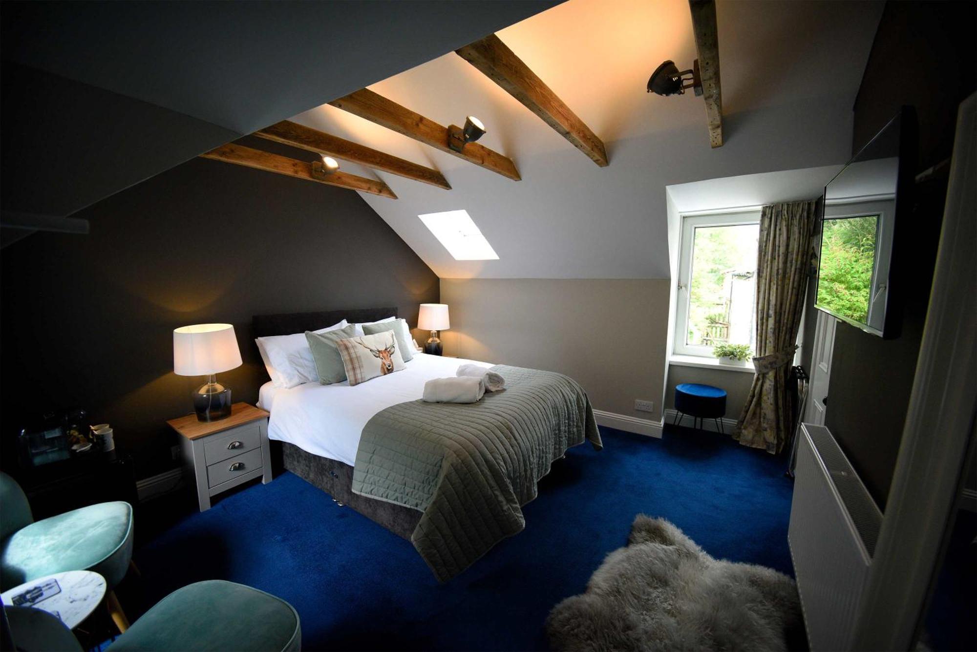King Room,1556077021:JPEG