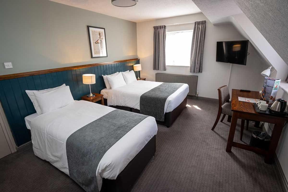 Family Room with Bathroom,1651731324:JPEG