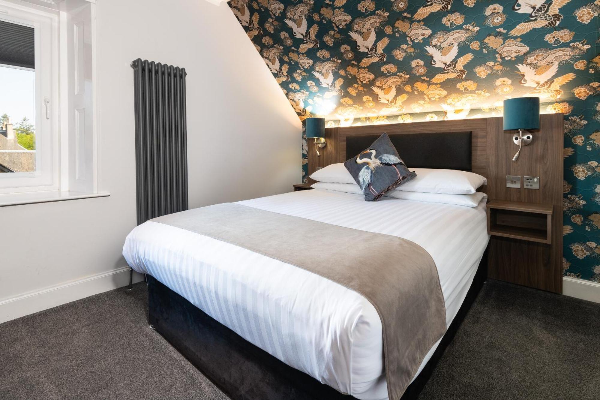 Single Room,1672583354:JPEG