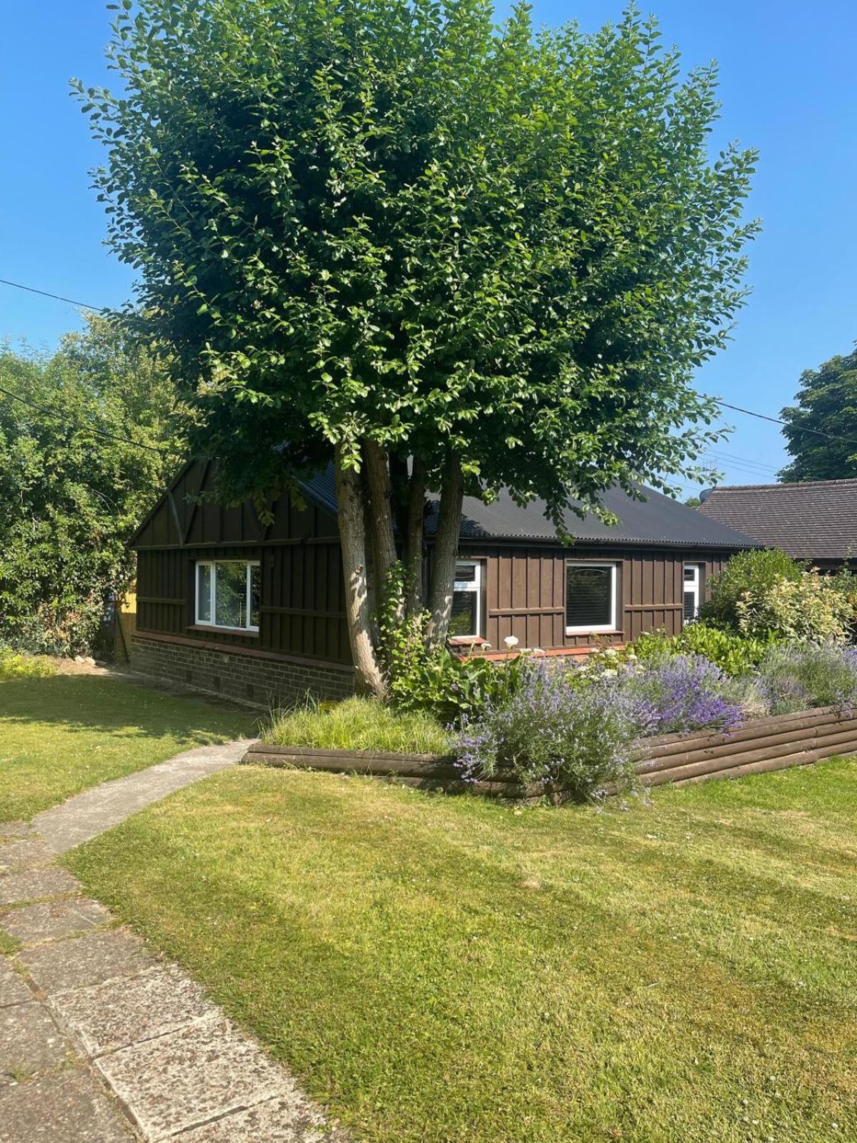 Cottage Garden View,1681730237:JPEG
