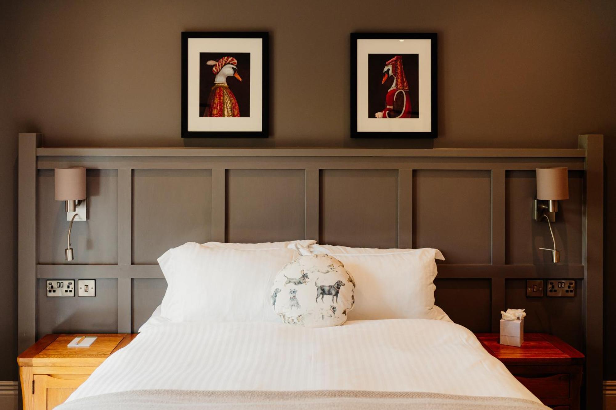King Room,1690994749:JPEG