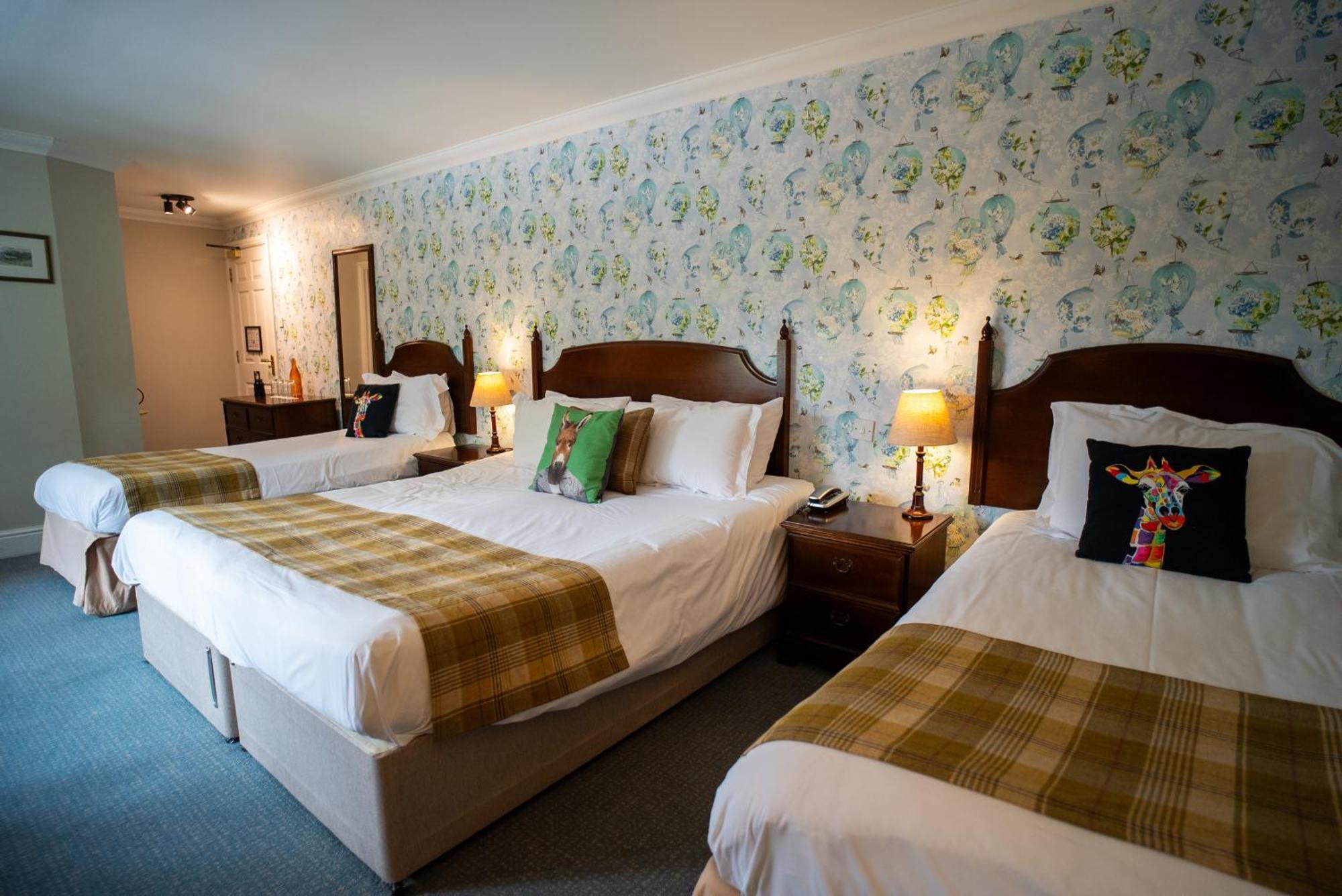 Family Room,1705556821:JPEG