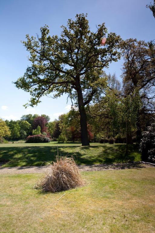 Single Room,17436560:JPEG