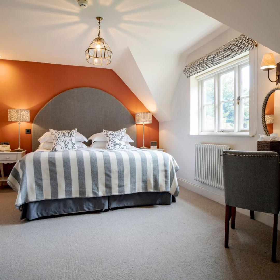 Junior Suite,1756397810:JPEG