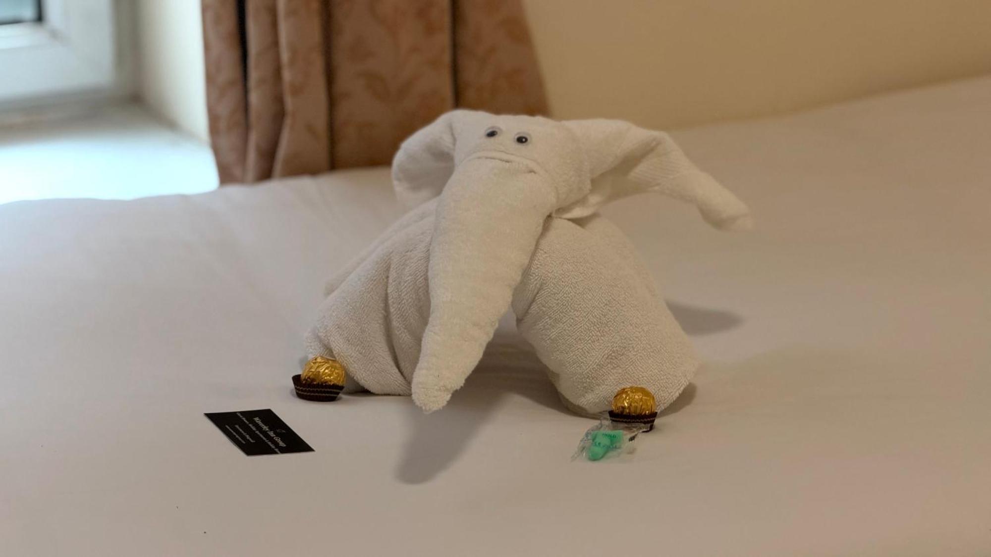 Standard Twin Room,1756565506:JPEG