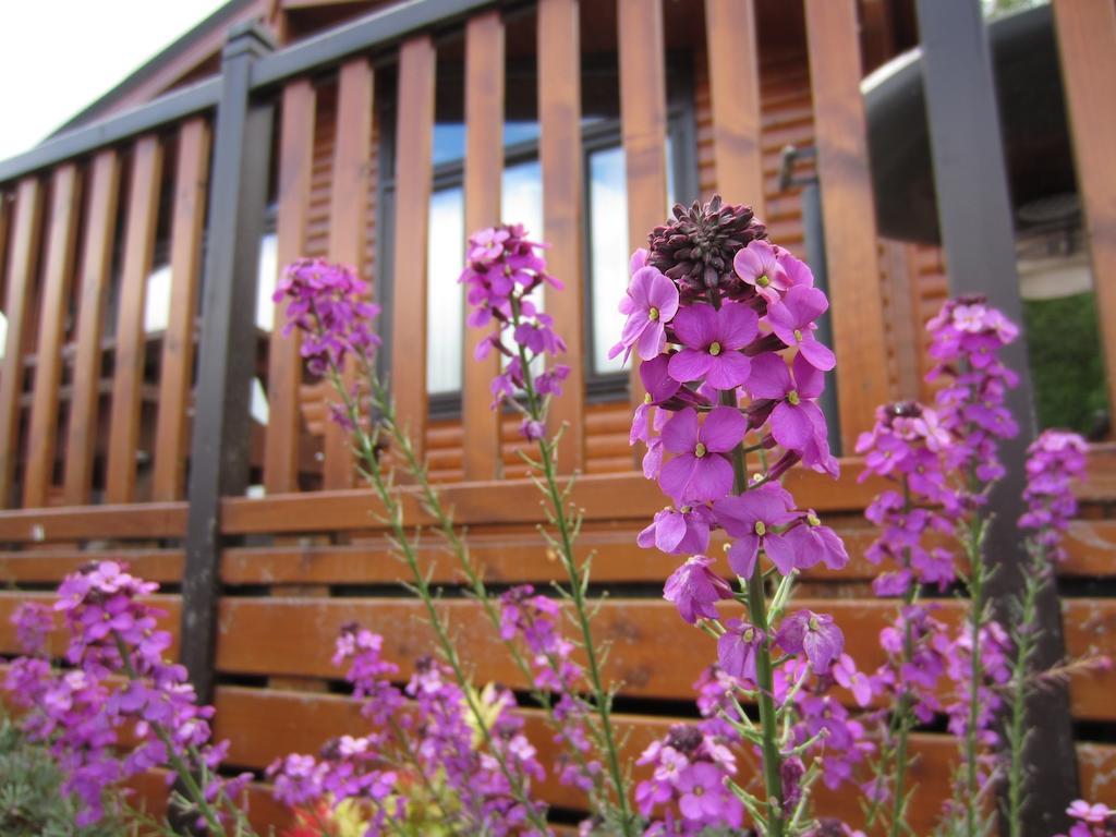 Three-Bedroom Lodge,805336482:JPEG