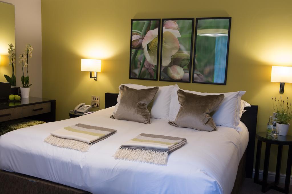 Standard Double Room,371045263:JPEG