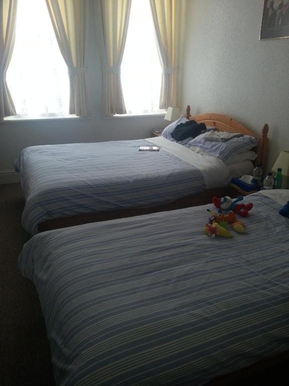 Family Room (3 Adults),79655538:JPEG