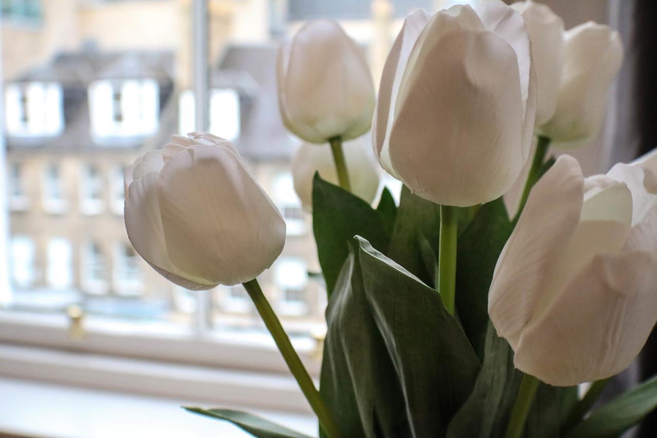 One-Bedroom Apartment,535770936:JPEG