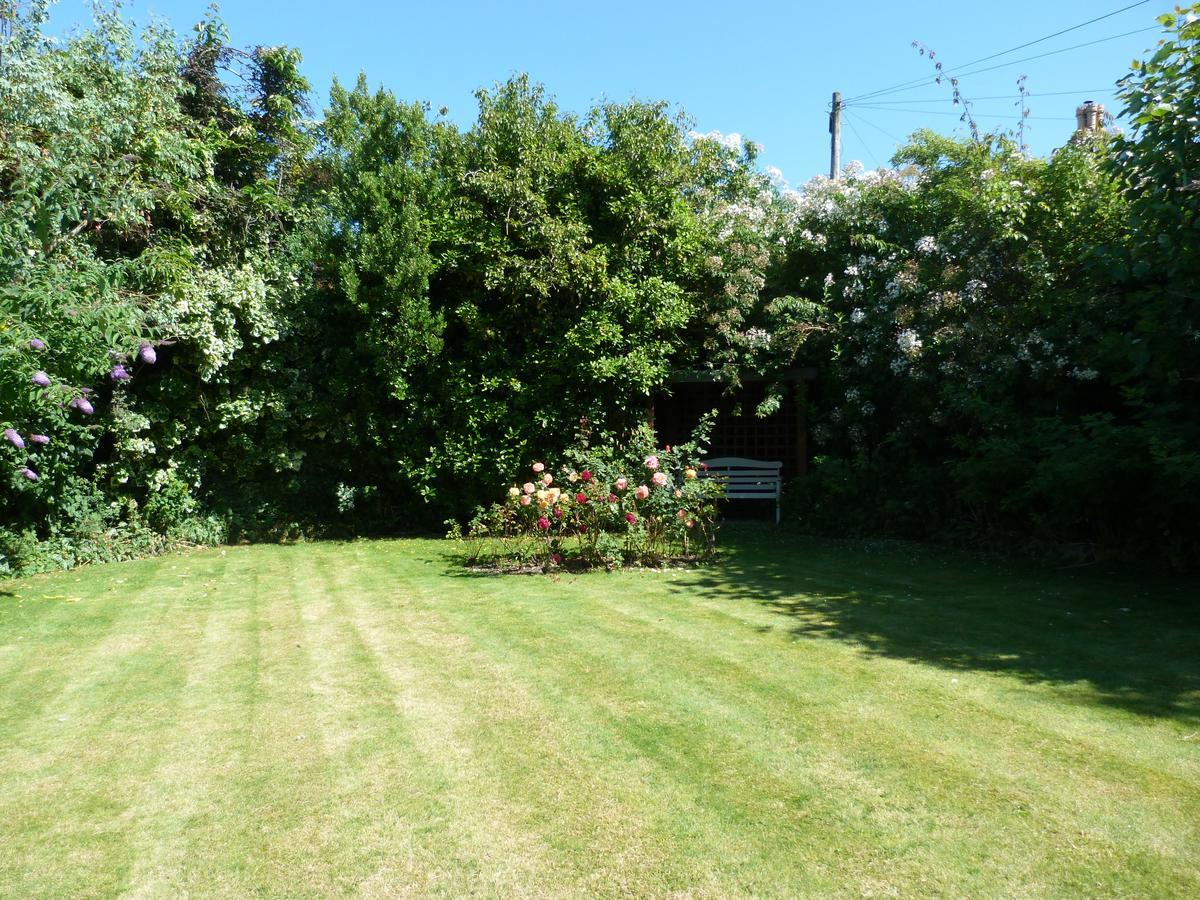 Single Room with Garden View