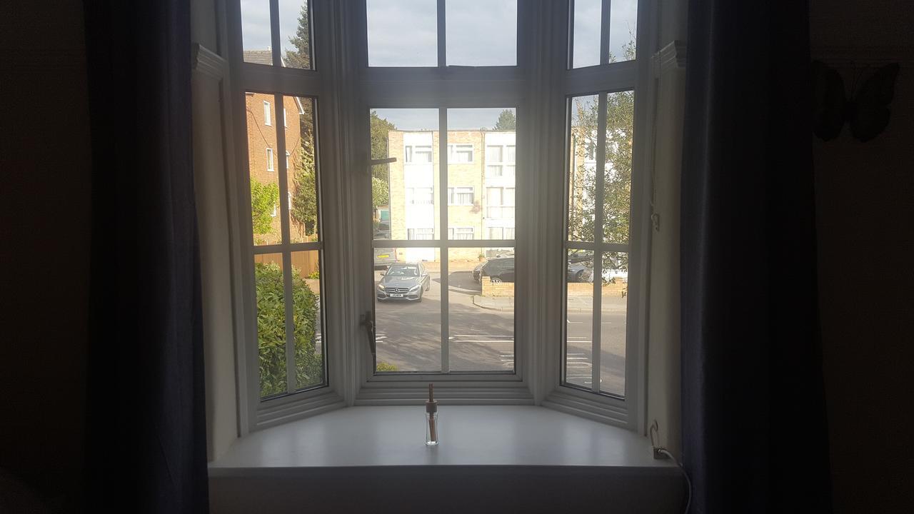 Budget Single Room,613930310:JPEG