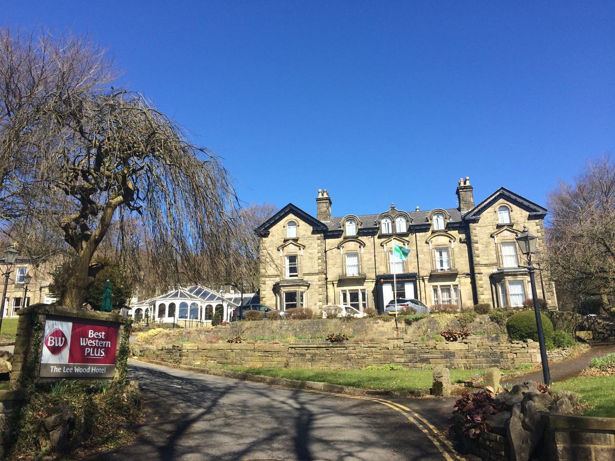 Standard Twin Room,829980554:JPEG