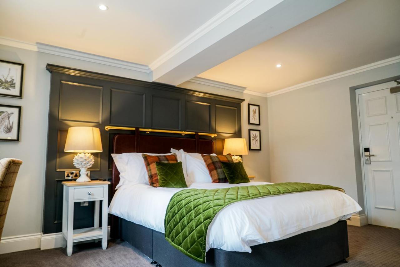 Classic Double Room,727304233:JPEG