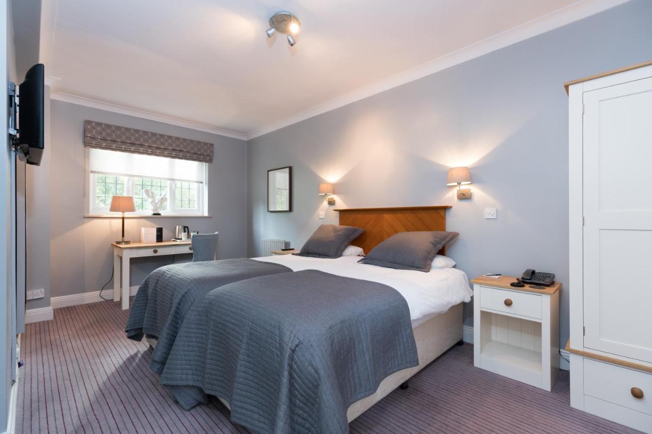 Standard Twin Room,943020496:JPEG