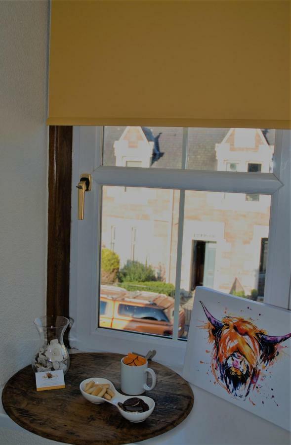 Single Room,784289325:JPEG