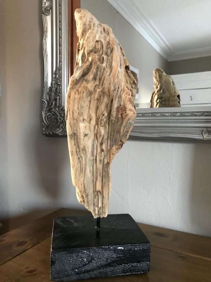 Double or Twin Room with Shower,1171409511:JPEG