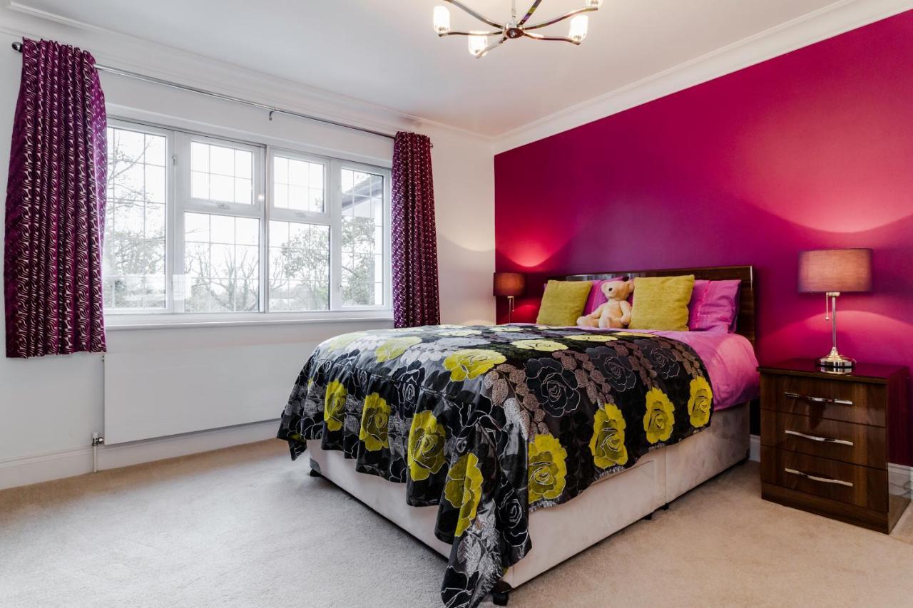 Superior King Room,992993158:JPEG
