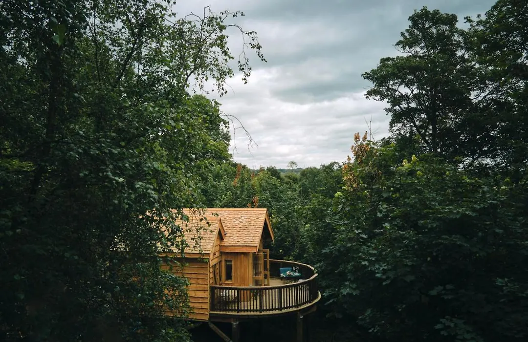Wildhive Callow Hall-1
