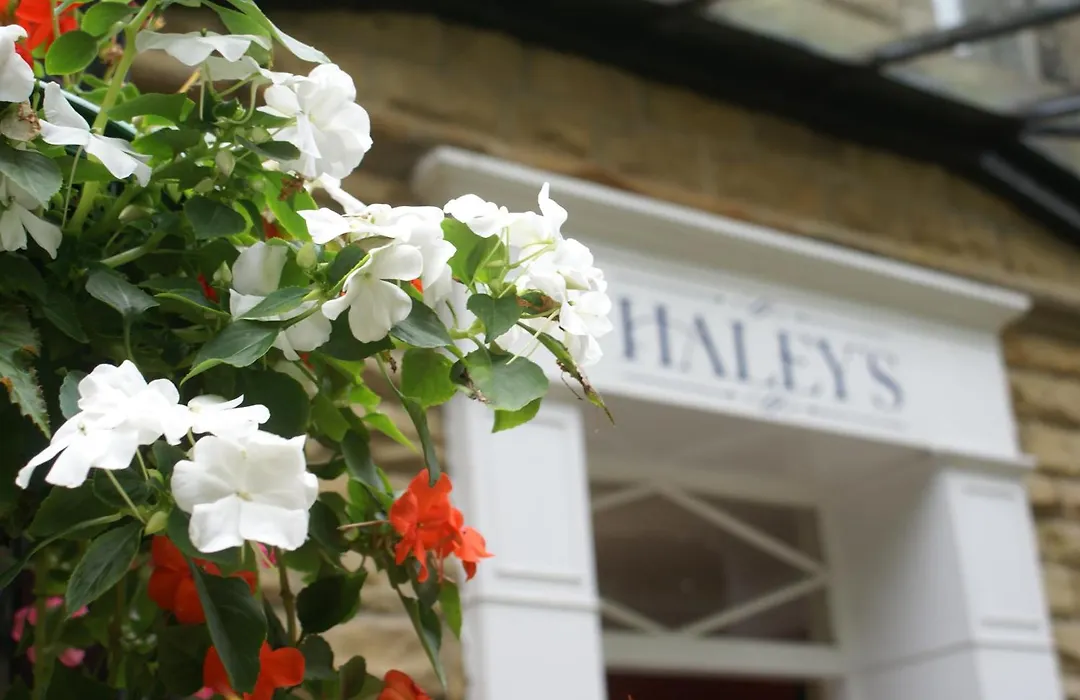 Haley'S Hotel-1