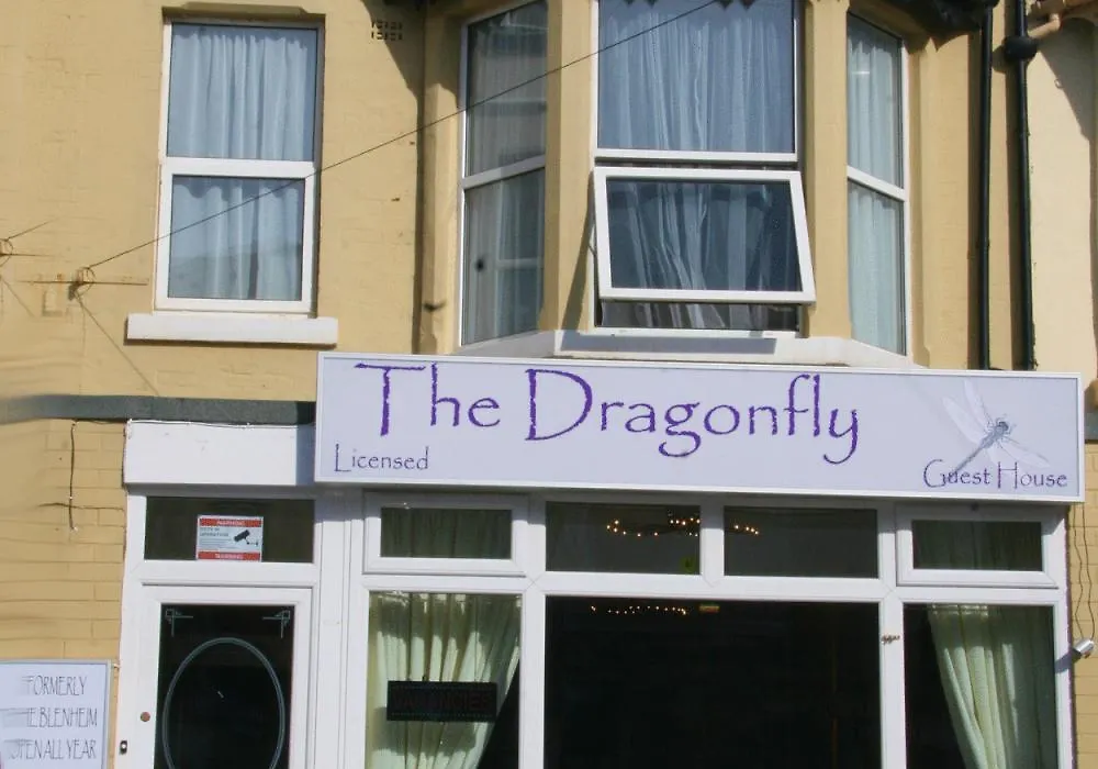 The Dragonfly-1