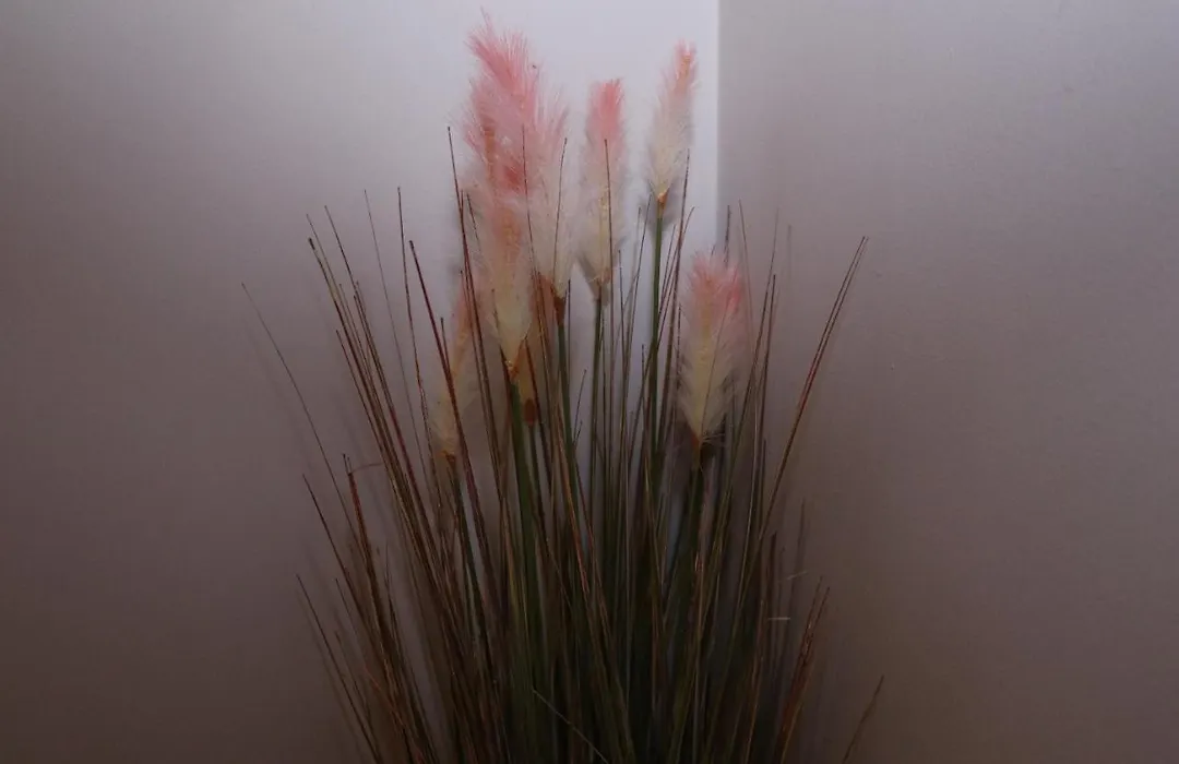 The Lavenders-1