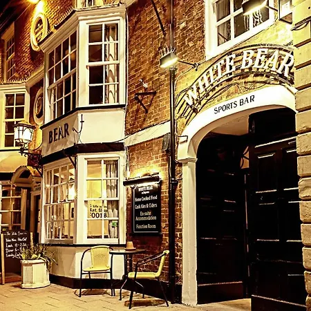 The White Bear-2
