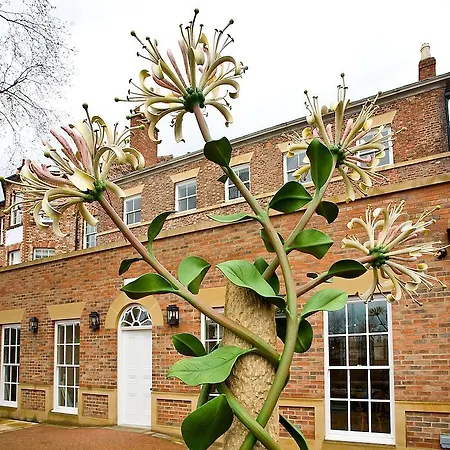 Houndgate Townhouse-3