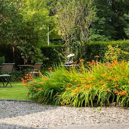 Chestnuts Guest House (Adults Only)-2