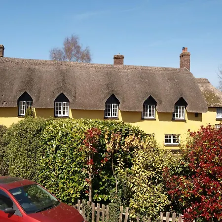 Red Lion-2